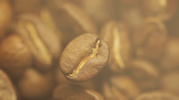 Кофейные зерна — стоковое видео