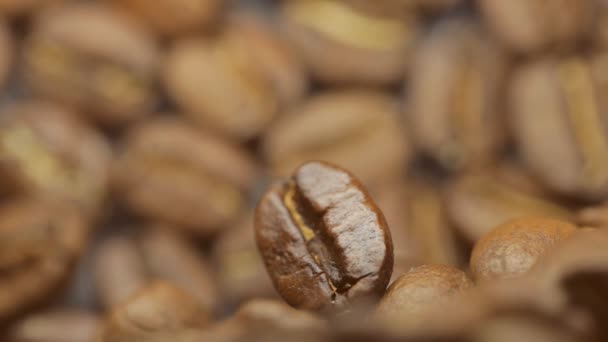 Aroma de grãos de café — Vídeo de Stock