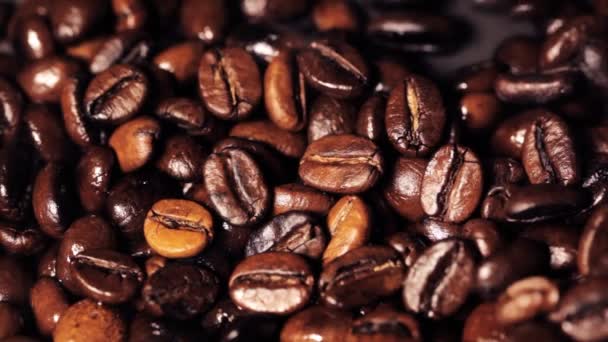 Roasting coffee — Stock Video