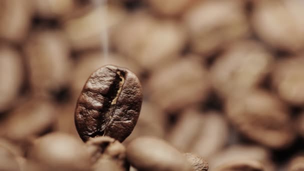 Roasting coffee — Stock Video