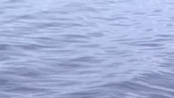Wasseroberfläche mit Wellen. — Stockvideo