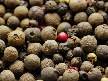 Kuru biber karışımı