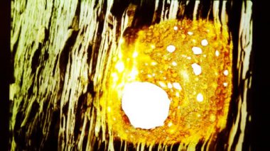 Film yavaş yavaş yakar. Ateş tüketmek film.