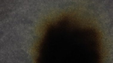 Yanan kağıt. Makro.