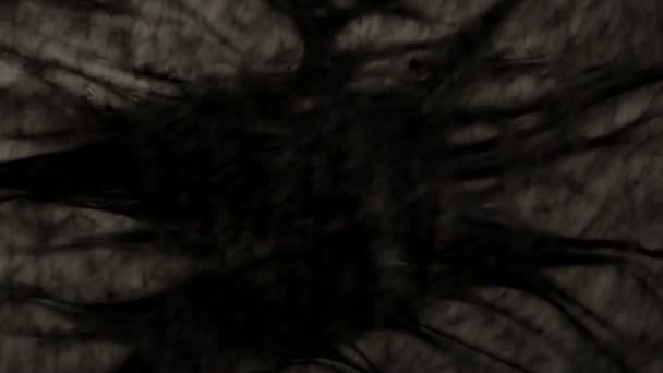 Brûlure plastique. Gros plan .