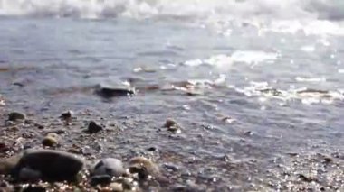 Dalgalar Breaking. Deniz sörf.