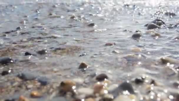 Rompiendo olas. Surf marino . — Vídeos de Stock