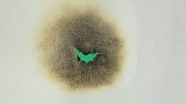 Yanan kağıt. Yeşil ekran.