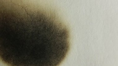 Yanan kağıt. Yeşil ekran.