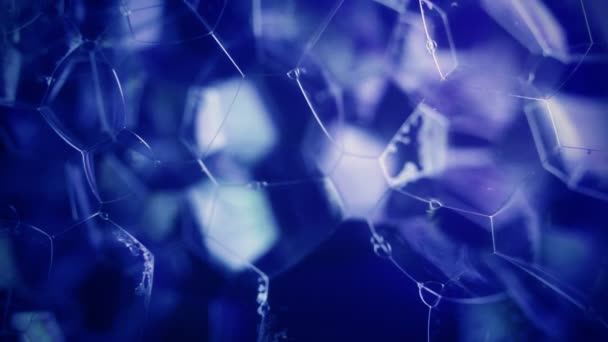 Mousse abstraite. Gros plan .