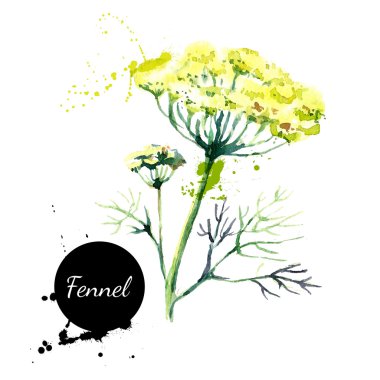 Mutfak otlar ve baharatlar afiş.