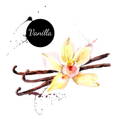 Mutfak otlar ve baharatlar afiş. 