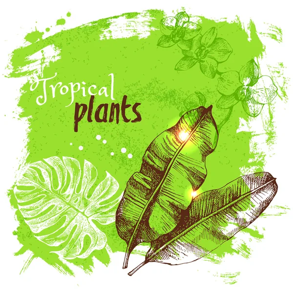 Bosquejo dibujado a mano plantas tropicales — Vector de stock
