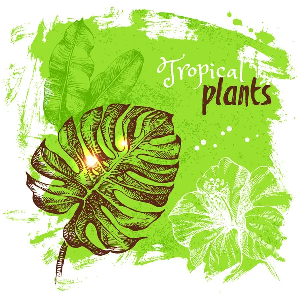 Χέρι που σκίτσο τροπικά φυτά — Διανυσματικό Αρχείο
