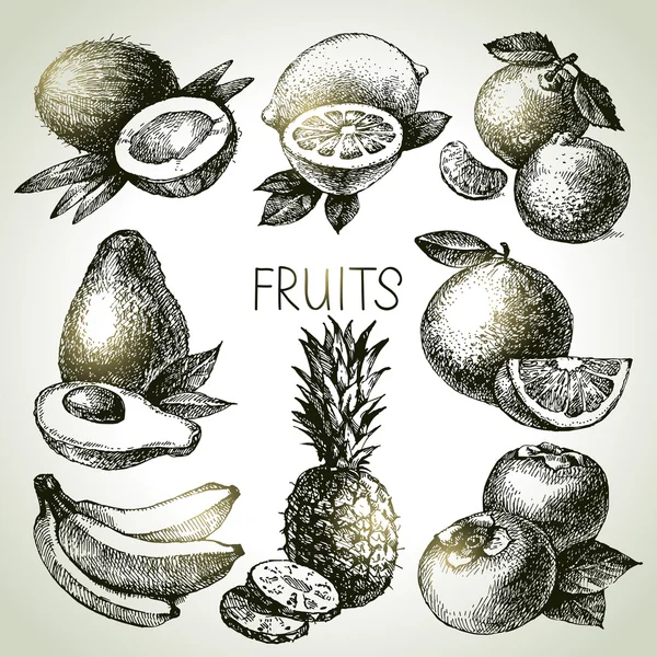 Croquis de fruits dessinés à la main — Image vectorielle