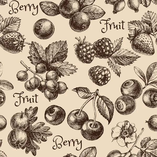 Berries seamless pattern. — Stock Vector