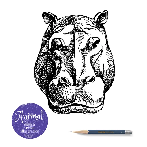 Hippopotame dessiné à la main — Image vectorielle