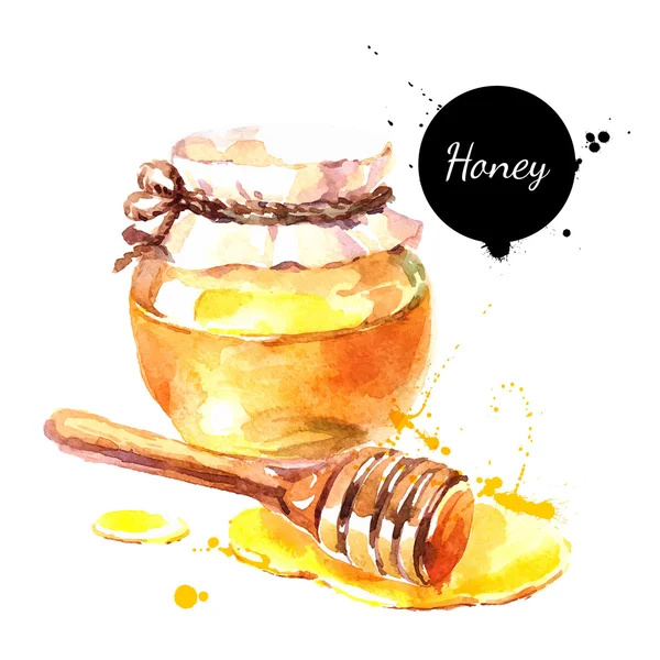 Aquarelle miel frais dessiné à la main . — Image vectorielle