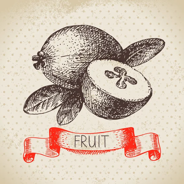 Fruta de esboço desenhada à mão —  Vetores de Stock