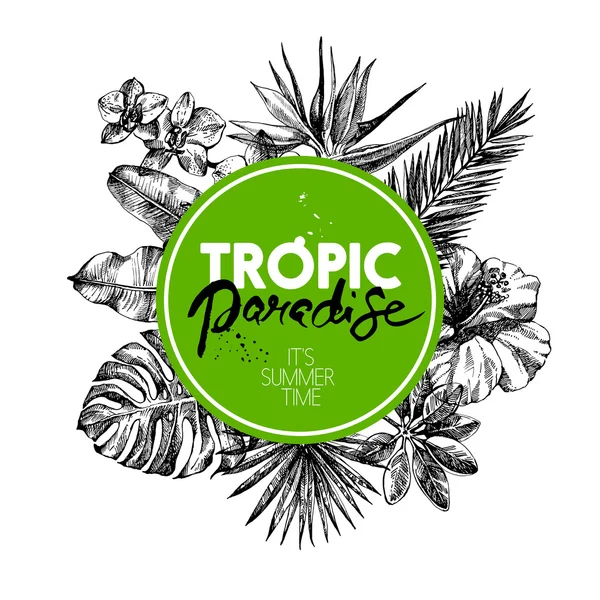 Croquis dessiné à la main plantes tropicales — Image vectorielle
