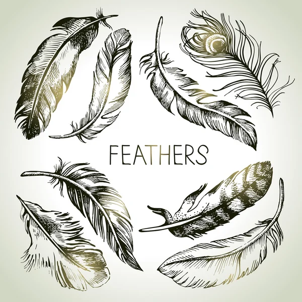 Feather schets set. — Stockvector