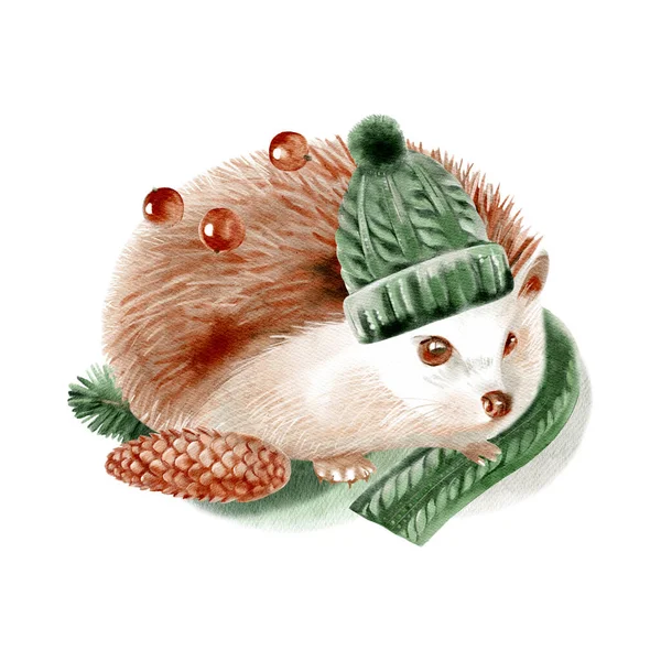 Aquarela Inverno Floresta Selvagem Animal Hedgehog Pintura Ilustração Desenhada Mão — Fotografia de Stock