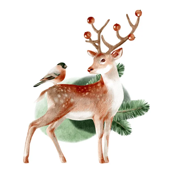 Aquarela Inverno Floresta Selvagem Animal Veado Bullfinch Pintura Ilustração Desenhada — Fotografia de Stock