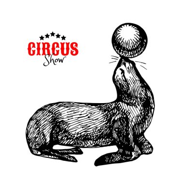 Hand drawn vintage circus banner. Sketch retro vector illustration vector Hand drawn vintage circus banner. Sketch retro vector illustration vector