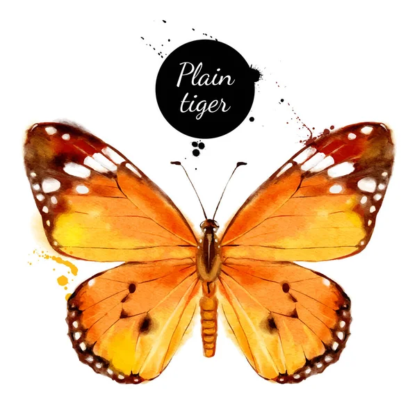 Illustration Aquarelle Papillon Danaus Chrysippus Tigre Des Prairies Vecteur Peint — Image vectorielle