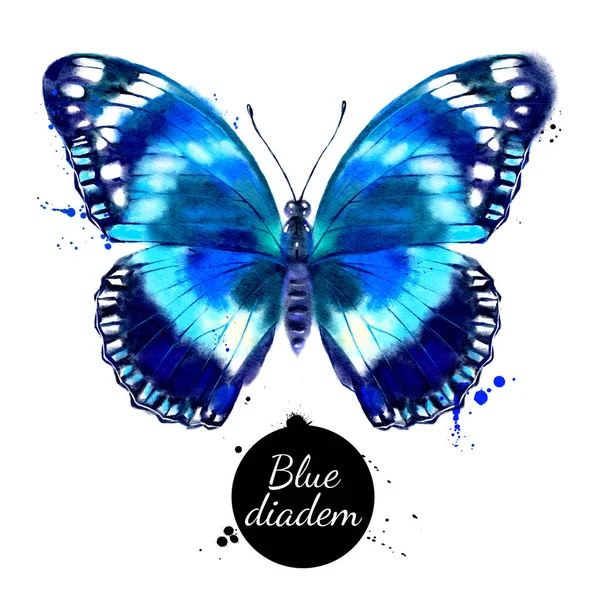 Watercolor Illustration Butterfly Hypolimnas Salmacis Blue Diadem Vector Painted Isolated — Stock Vector