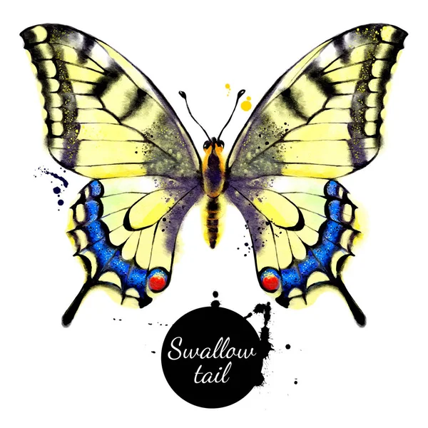 Akvarell Illusztráció Pillangó Papilio Machaon Fecskefarkú Vektor Festett Elszigetelt Trópusi — Stock Vector