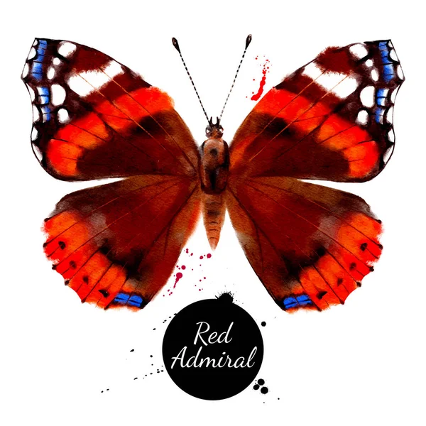 Illustrazione Acquerello Della Farfalla Red Admiral Vanessa Atalanta Vettore Dipinto — Vettoriale Stock