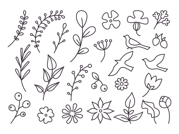 Illustrazioni Floreali Line Art Fiori Uccelli Bacche Set Vettoriale Doodles — Vettoriale Stock