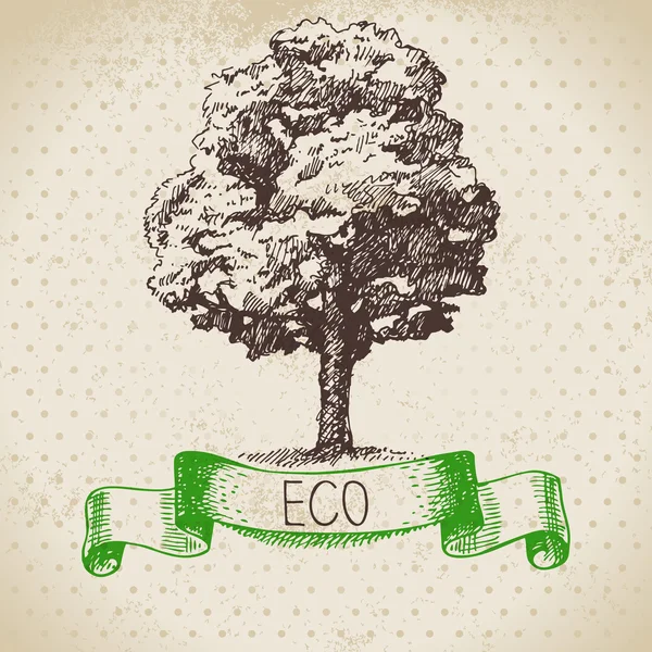Sketch ecologia fundo vintage —  Vetores de Stock