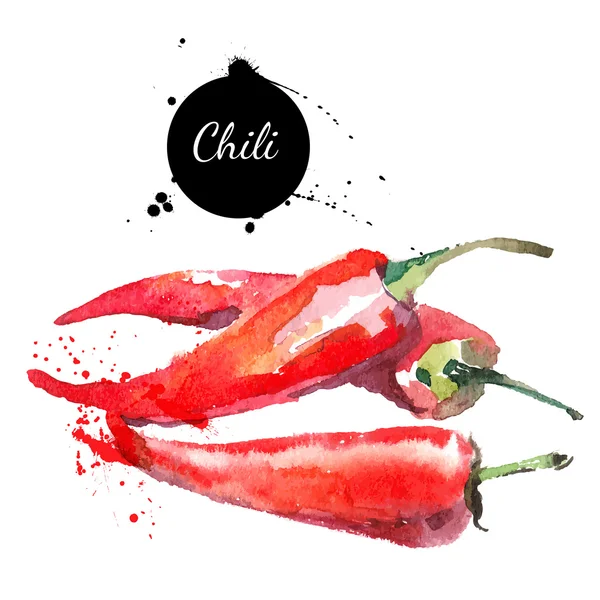 Chilli. Hand drawn watercolor painting on white background. — Stock Vector