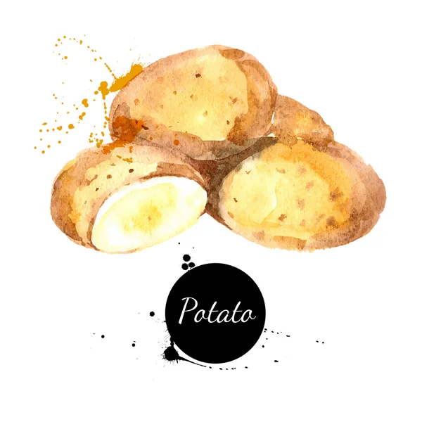 El çekilmiş patates suluboya resim