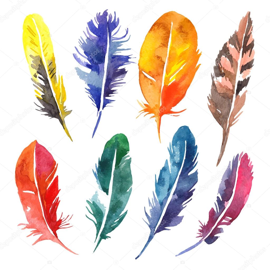 Watercolor feathers set.