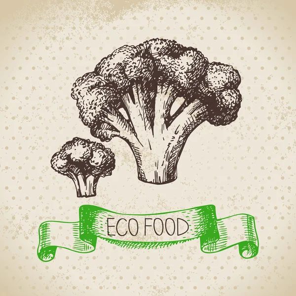 Elle çizilmiş kroki brokoli sebze. — Stok Vektör