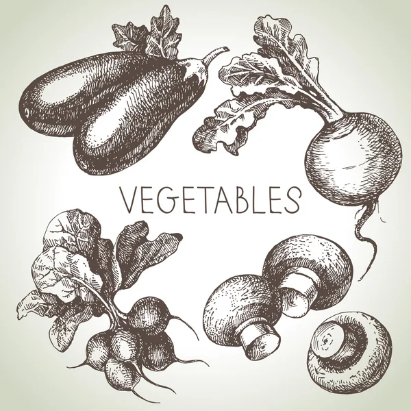 Dibujo dibujado a mano verduras conjunto . — Archivo Imágenes Vectoriales