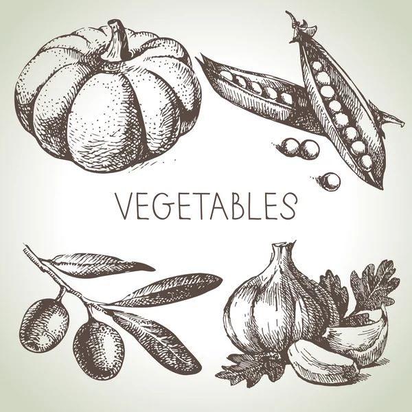 Dibujo dibujado a mano verduras conjunto . — Archivo Imágenes Vectoriales