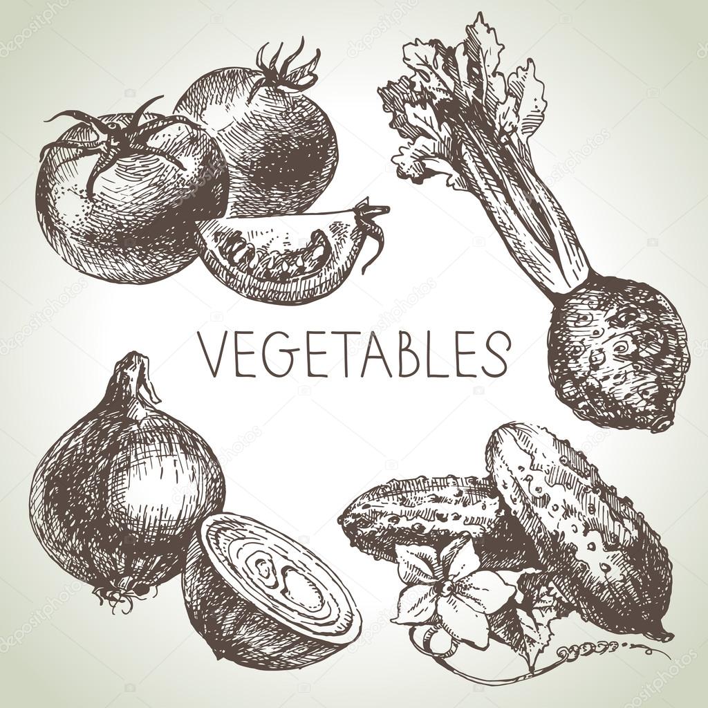 Hand drawn sketch vegetables set.