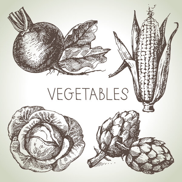 Hand drawn sketch vegetables set.
