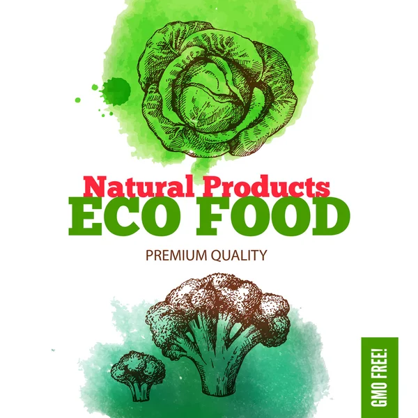 Eco voedsel menuachtergrond. — Stockvector