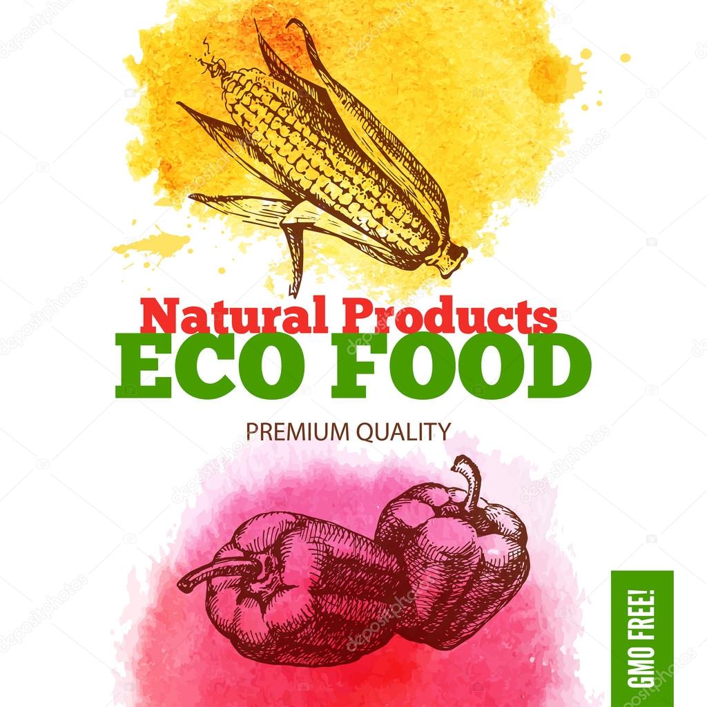 Eco food menu background.