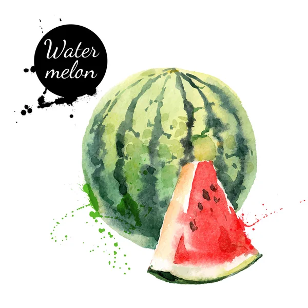 Hand drawn watercolor painting watermelon — Stock Vector