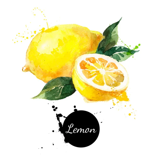Pittura ad acquerello disegnata a mano limone — Vettoriale Stock