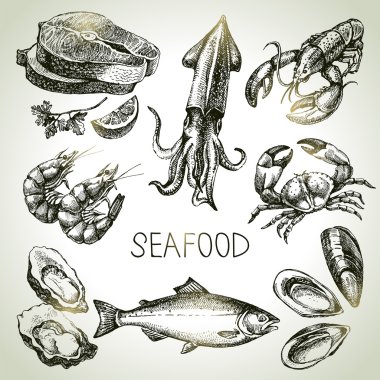 Hand drawn sketch set of seafood. clipart