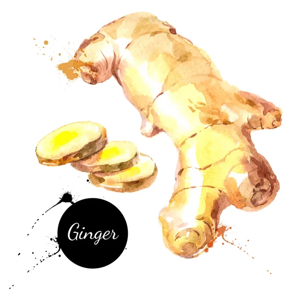 Mutfak otlar ve baharatlar afiş.