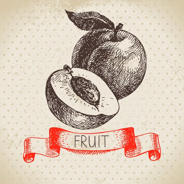 Handritad skiss frukter persikor. — Stock vektor
