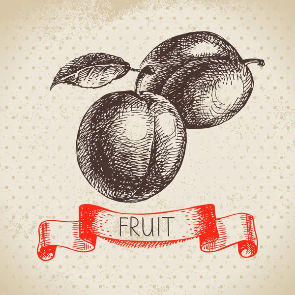 Croquis à la main fruits prunes . — Image vectorielle